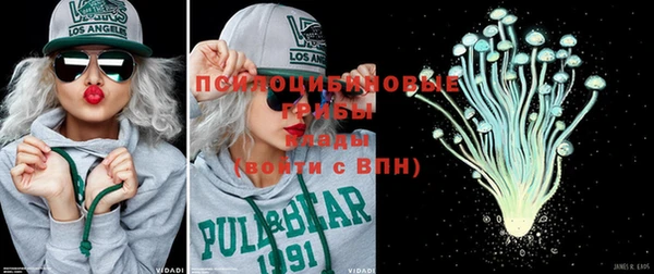 тгк Ростов